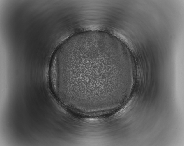 X0000094180394200711091146