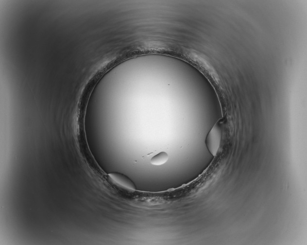 X0000094180395200711091146