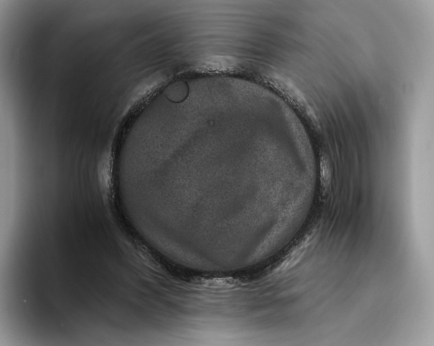 X0000094180396200711091146