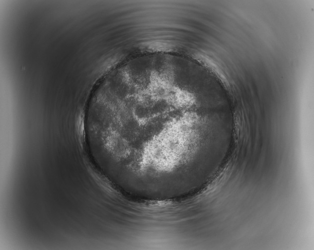 X0000094180398200711091146