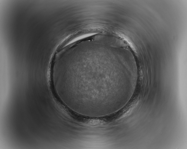 X0000094180399200711091146