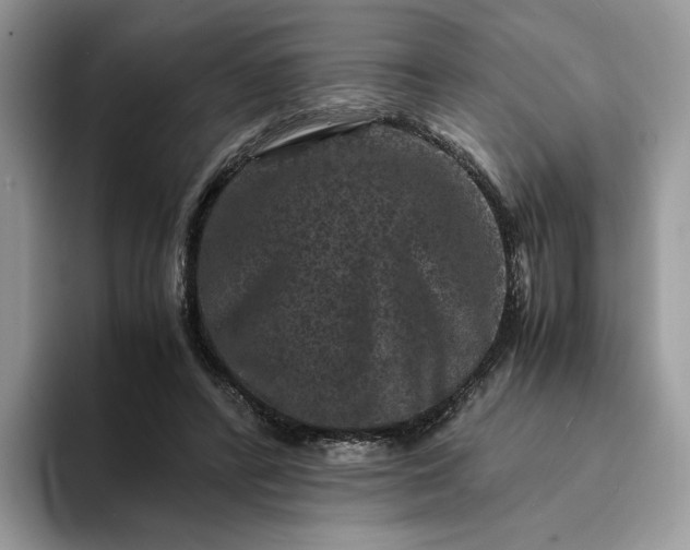 X0000094180400200711091146