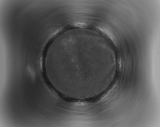 X0000094180404200711091146