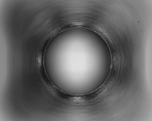 X0000094180406200711091146
