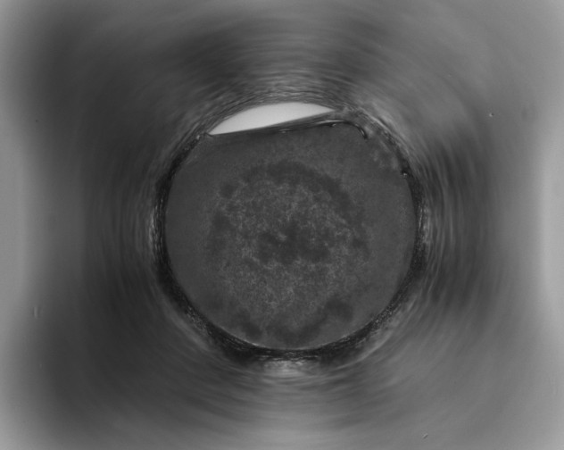 X0000094180408200711091146