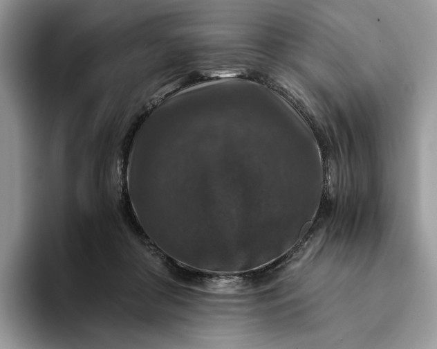 X0000094180410200711091146