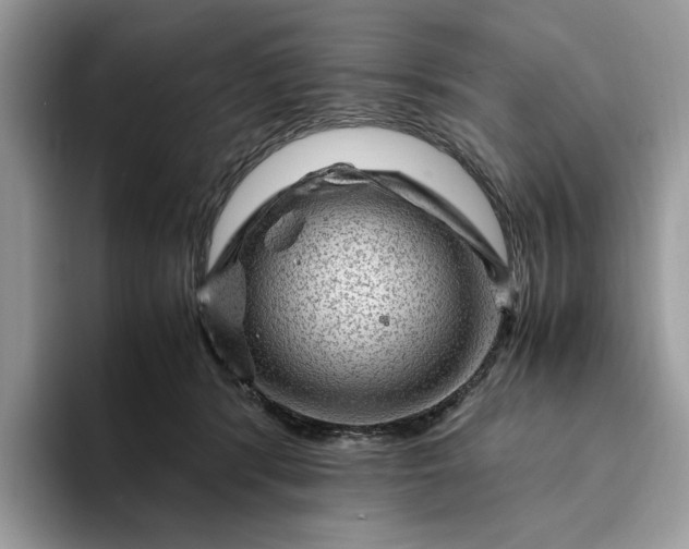 X0000094180416200711091146