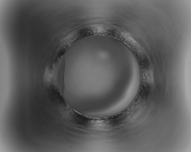 X0000094180419200711091146