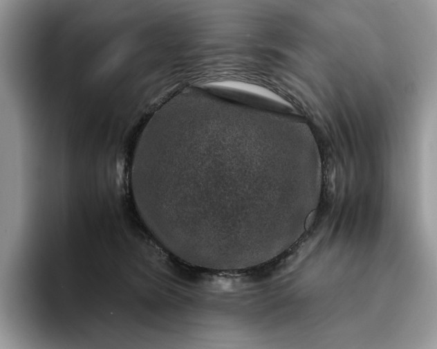 X0000094180420200711091146