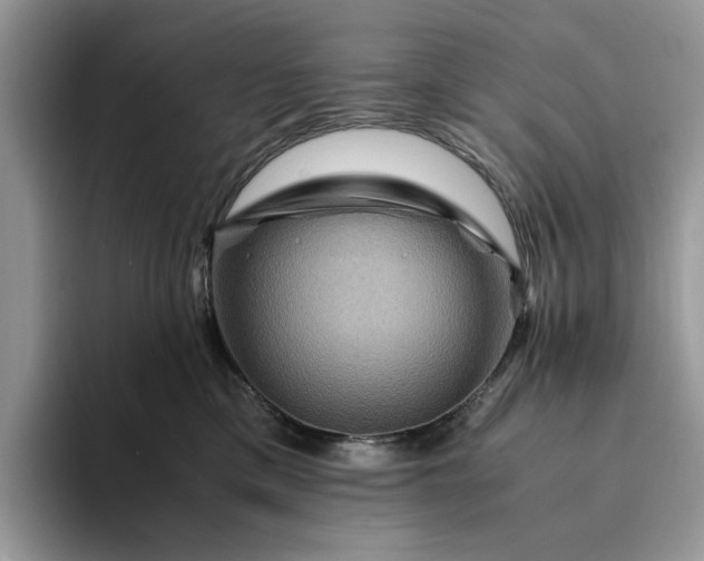 X0000094180425200711091146