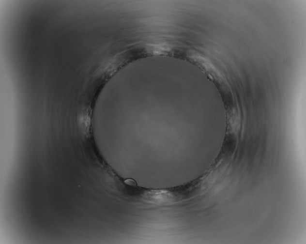 X0000094180427200711091146