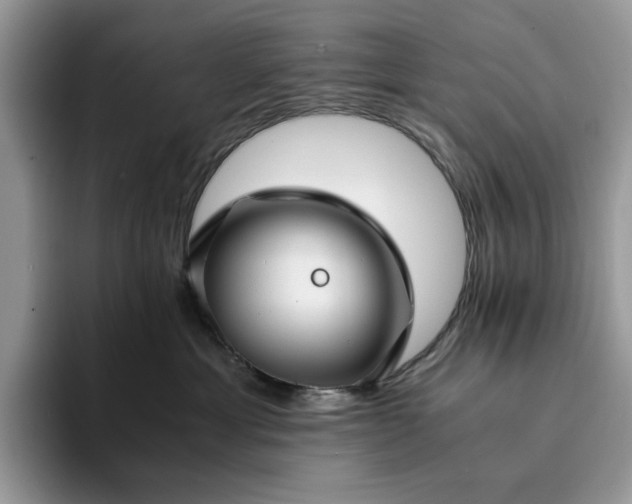 X0000094180429200711091146