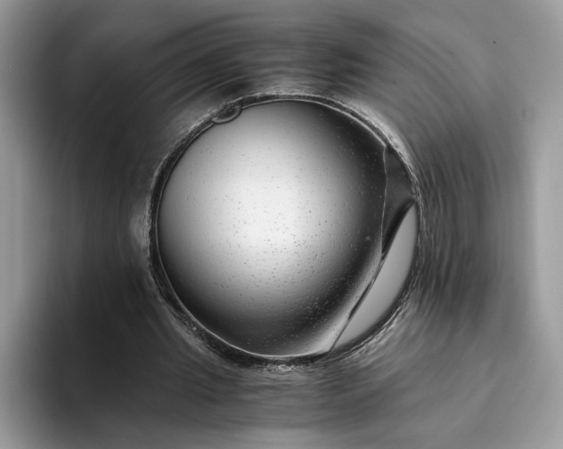 X0000094180437200711091145