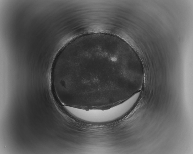 X0000094180438200711091145