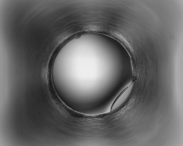 X0000094180439200711091145