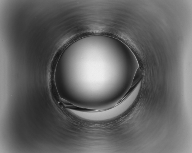X0000094180440200711091145