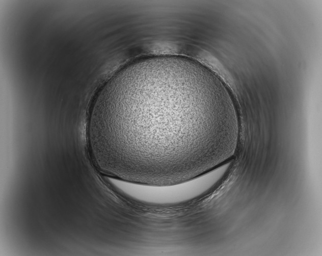X0000094180441200711091145