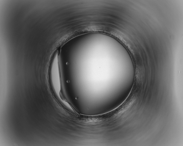 X0000094180445200711091145
