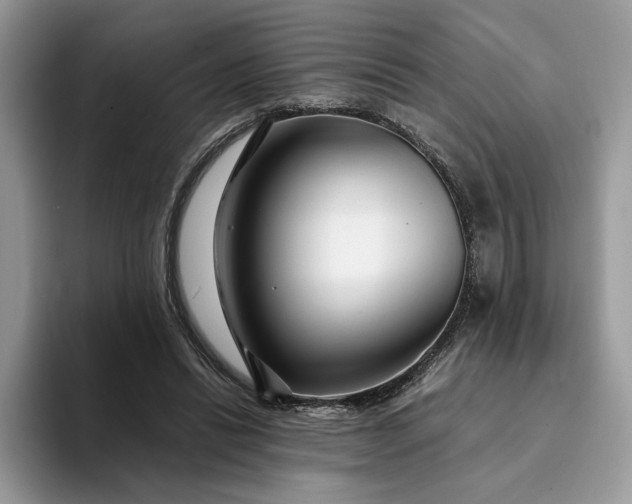 X0000094180446200711091145