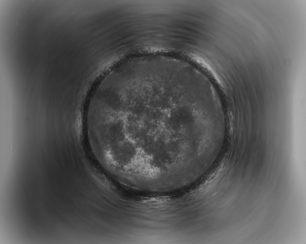 X0000094180447200711091145