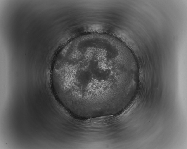 X0000094180449200711091145