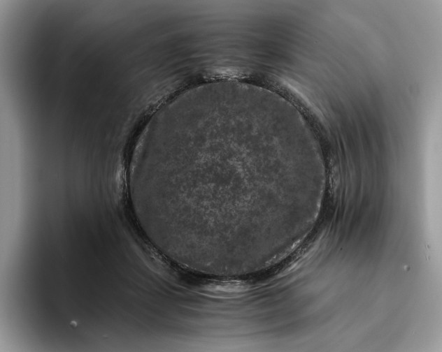 X0000094180459200711091145