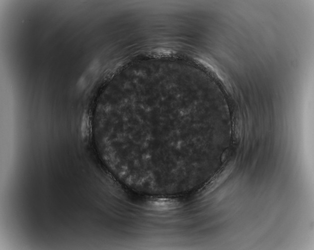 X0000094180467200711091145
