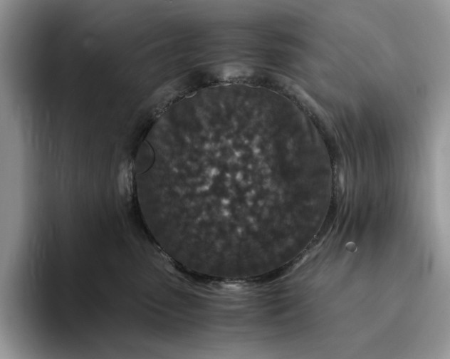 X0000094180475200711091145