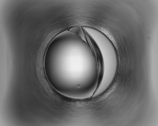 X0000094180481200711091145