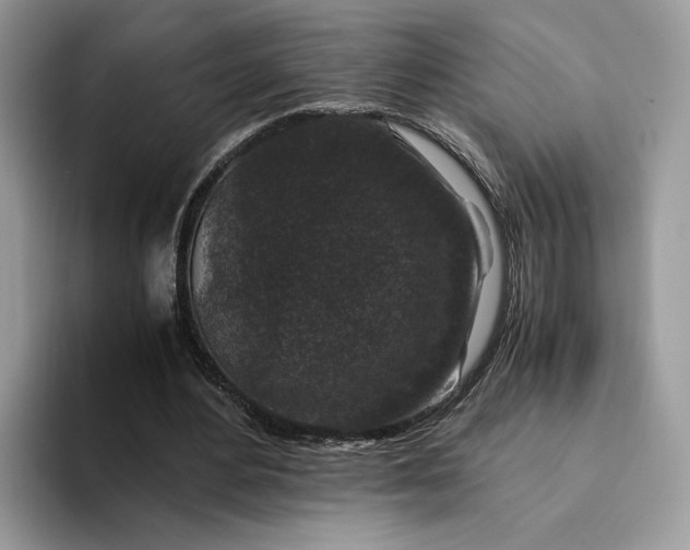 X0000094180484200711091145
