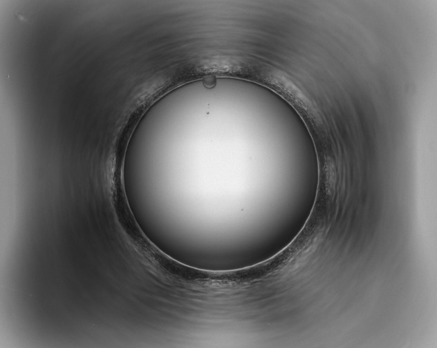 X0000094180490200711091145
