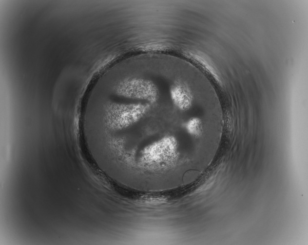 X0000094180491200711091145