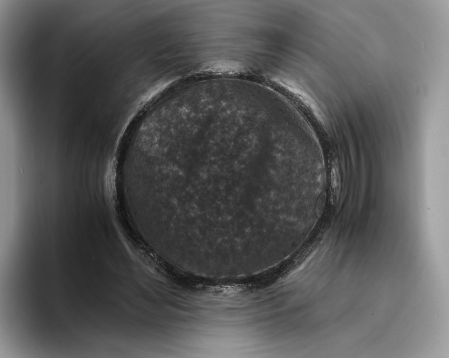 X0000094180492200711091145