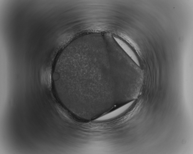 X0000094180493200711091145