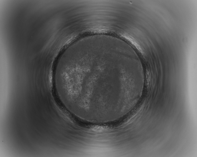 X0000094180494200711091145