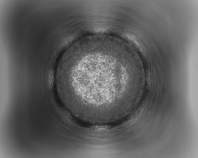 X0000094180495200711091145