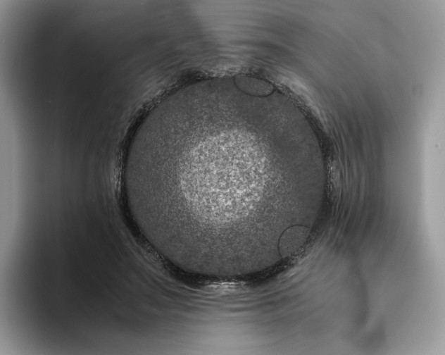 X0000094180499200711091145