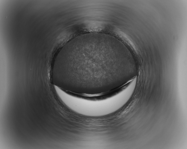 X0000094180501200711091145