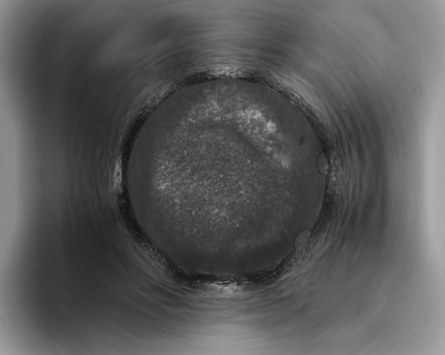X0000094180502200711091145