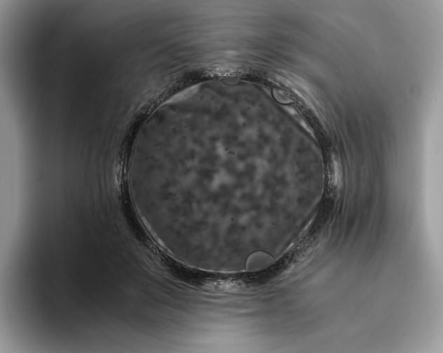 X0000094180503200711091145