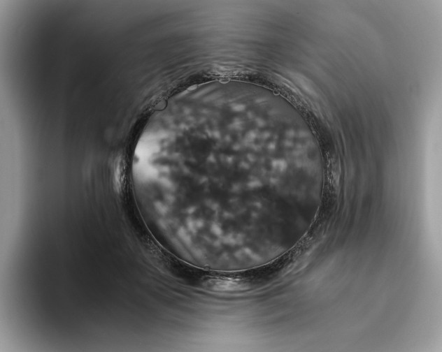 X0000094180507200711091145