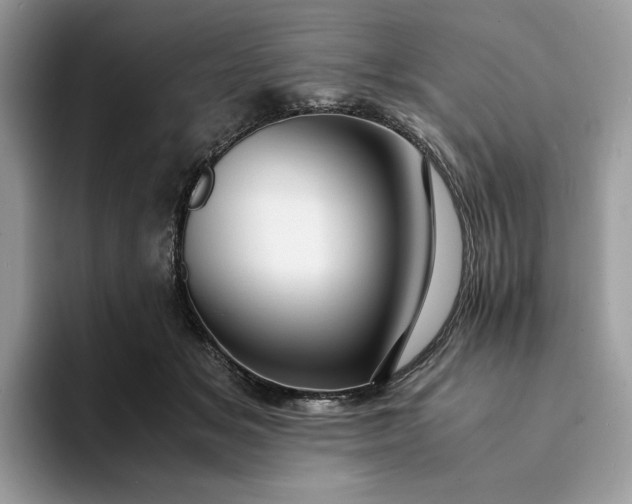 X0000094180509200711091145