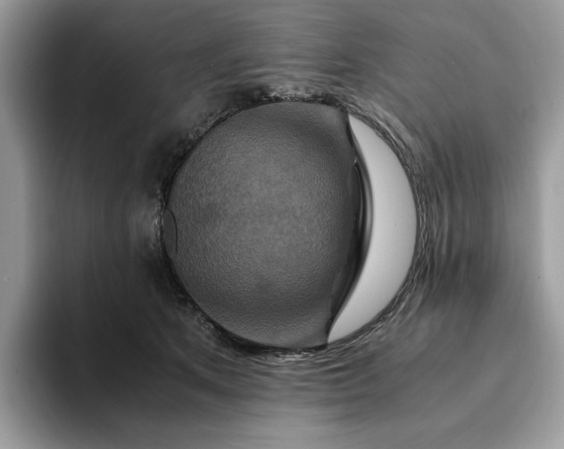 X0000094180513200711091145
