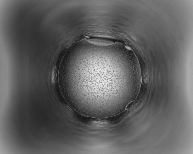 X0000094180515200711091145