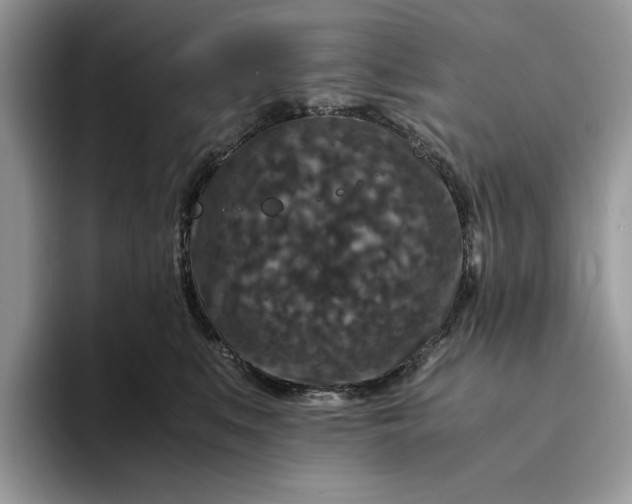 X0000094180519200711091144