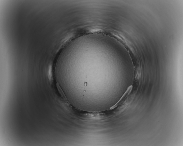X0000094180524200711091144