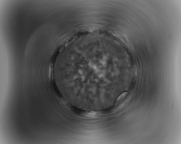 X0000094180527200711091144