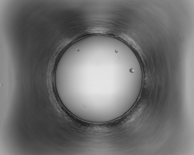 X0000094180529200711091144