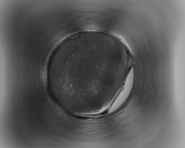 X0000094180531200711091144
