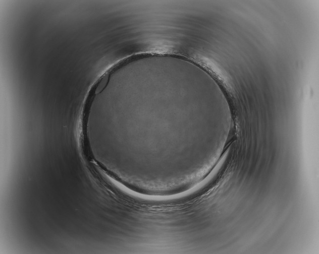 X0000094180532200711091144